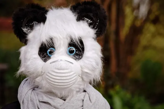 TopBet Casino Podrška